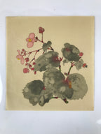 Japanese Art Print Reproduction Vtg Begonia Flowers Painting Paper P371
