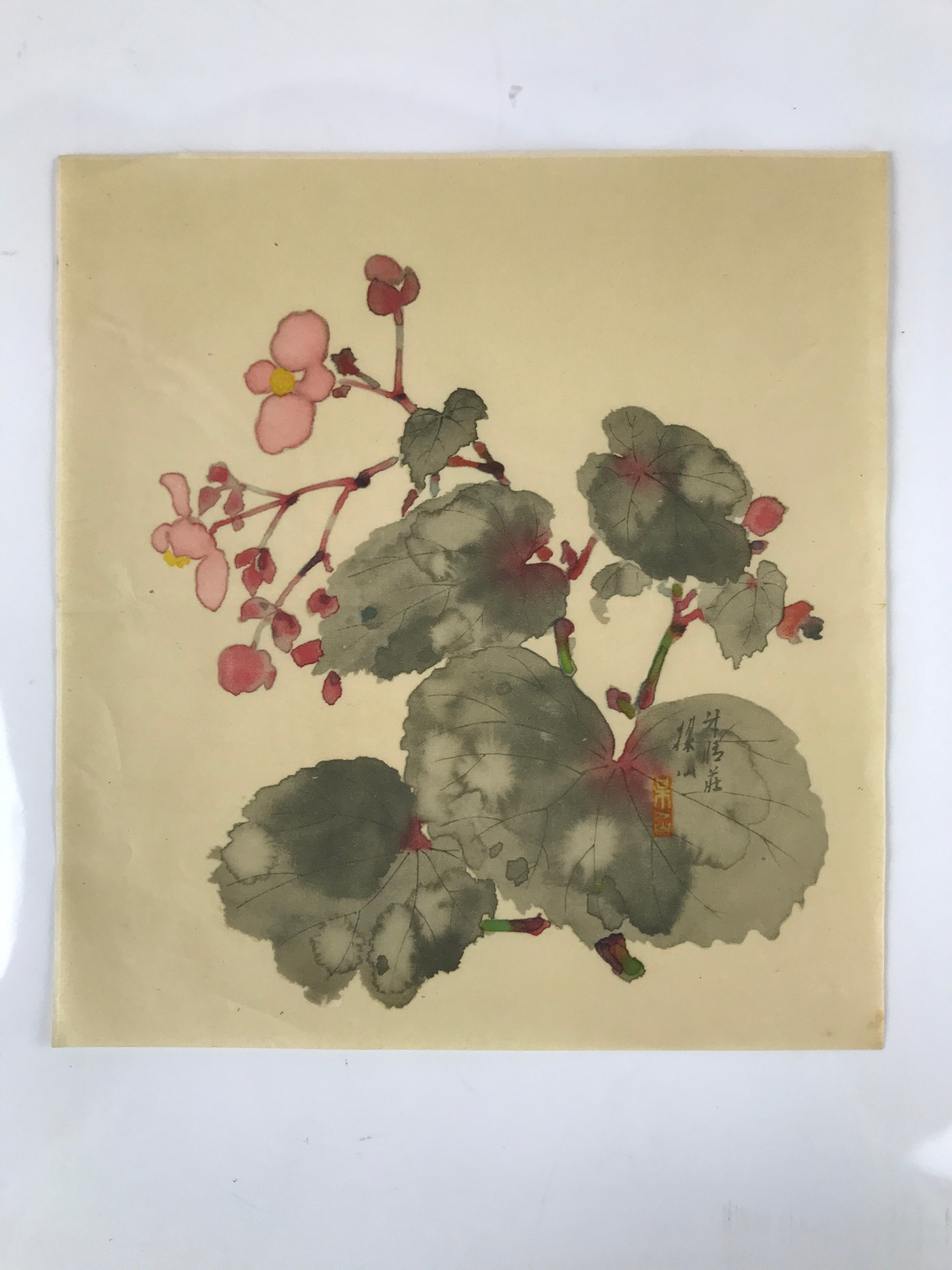 Japanese Art Print Reproduction Vtg Begonia Flowers Painting Paper P371