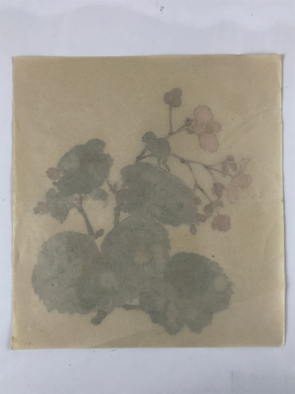 Japanese Art Print Reproduction Vtg Begonia Flowers Painting Paper P371