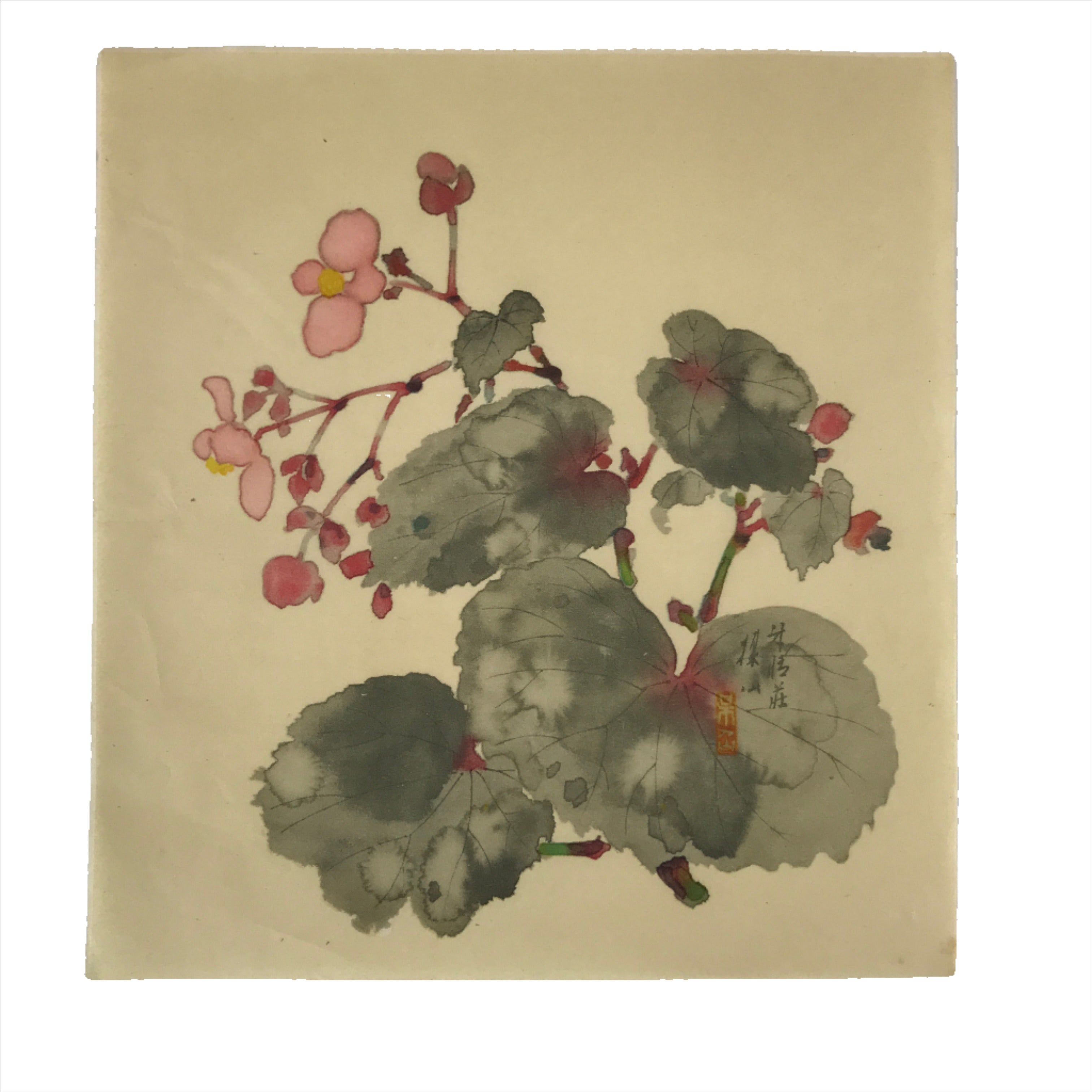Japanese Art Print Reproduction Vtg Begonia Flowers Painting Paper P371