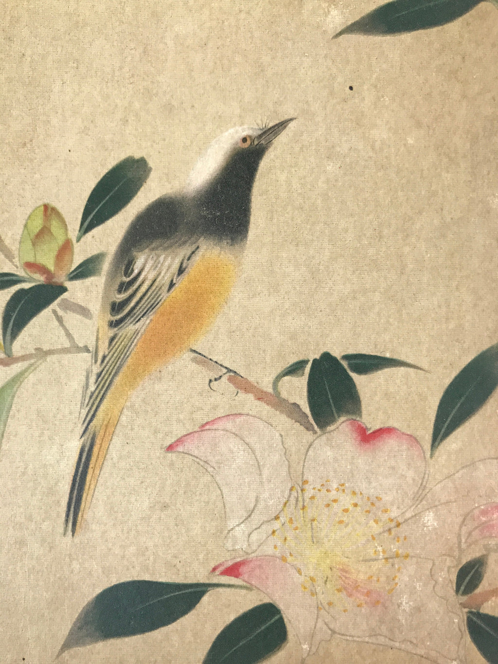 Japanese Art Print Reproduction Vtg Hoshun Yamaguchi Kacho Bird Painting P360