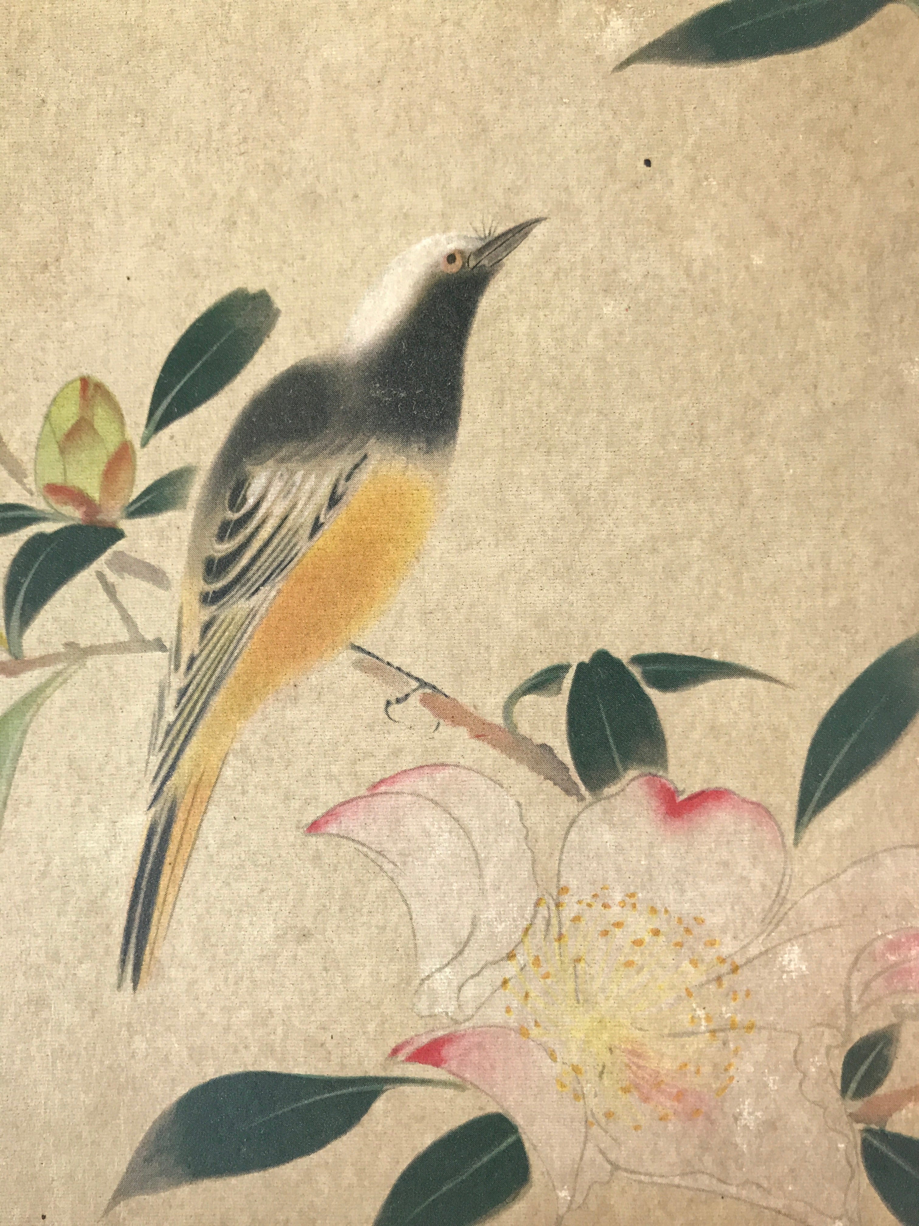 Japanese Art Print Reproduction Vtg Hoshun Yamaguchi Kacho Bird Painting P360