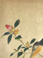 Japanese Art Print Reproduction Vtg Hoshun Yamaguchi Kacho Bird Painting P360