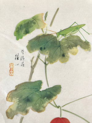 Japanese Art Print Reproduction Vtg Snake Gourd Grasshopper Painting P365