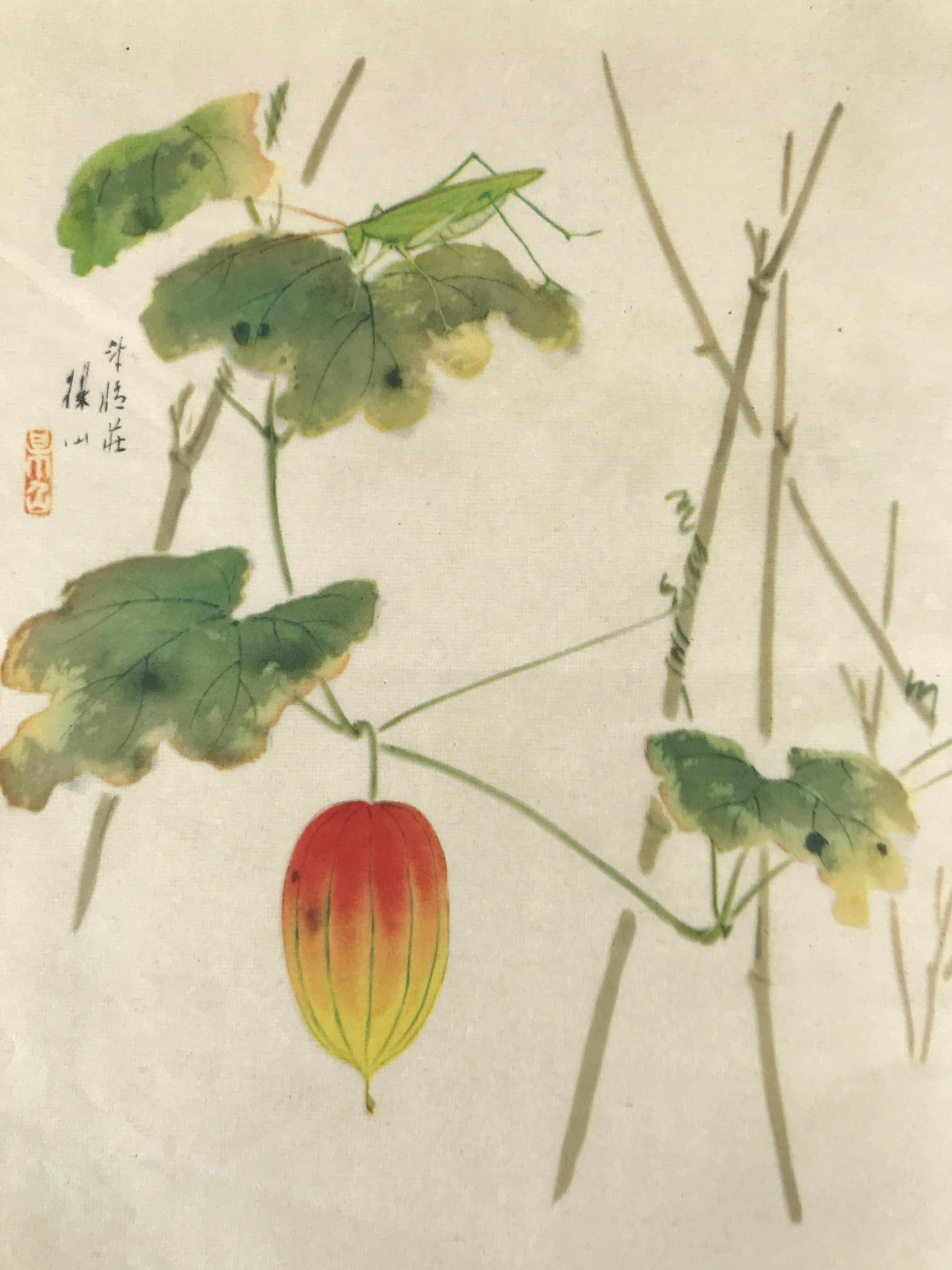 Japanese Art Print Reproduction Vtg Snake Gourd Grasshopper Painting P365