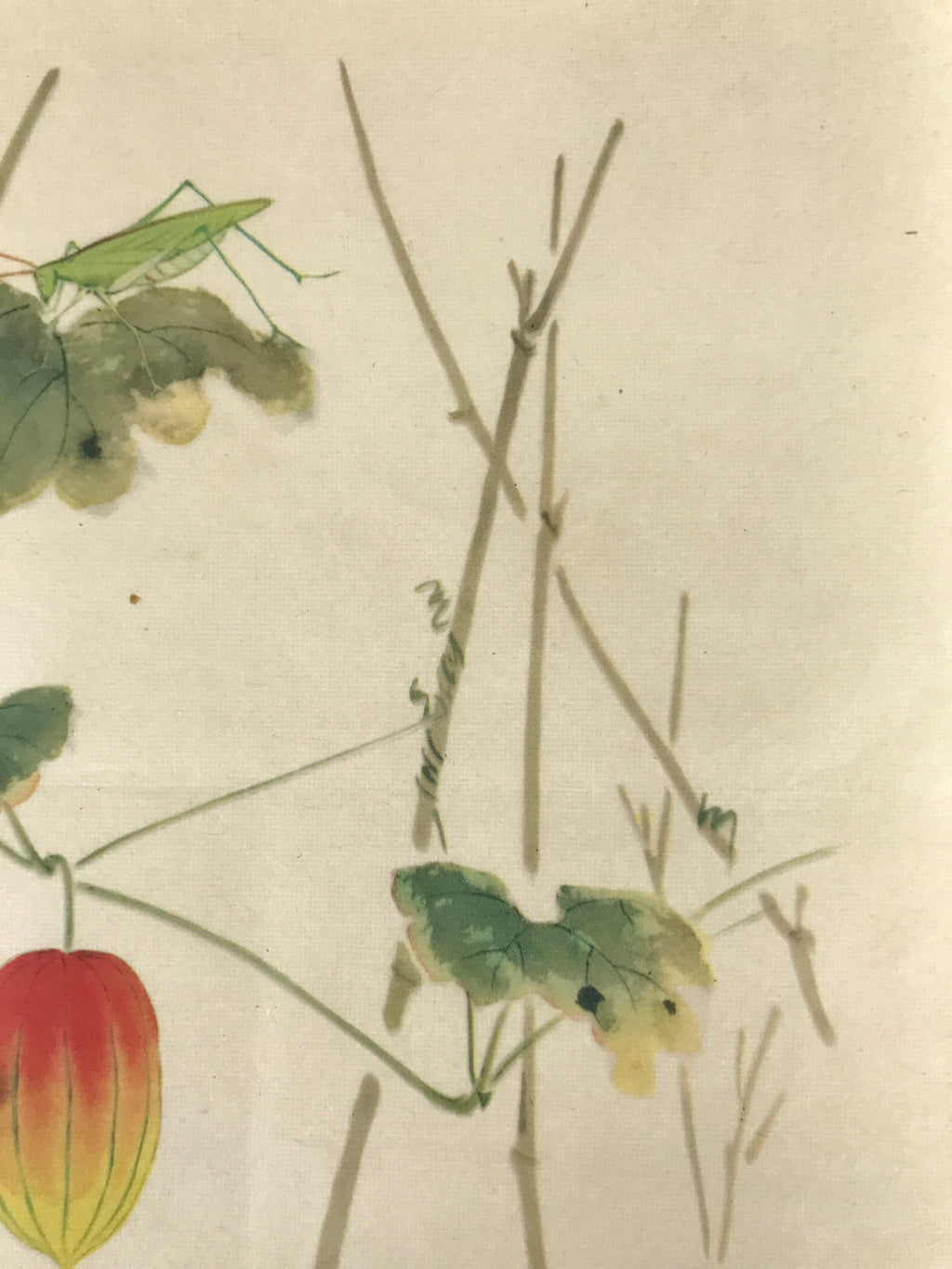 Japanese Art Print Reproduction Vtg Snake Gourd Grasshopper Painting P366