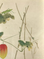 Japanese Art Print Reproduction Vtg Snake Gourd Grasshopper Painting P366