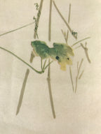 Japanese Art Print Reproduction Vtg Snake Gourd Grasshopper Painting P366