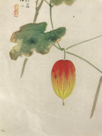 Japanese Art Print Reproduction Vtg Snake Gourd Grasshopper Painting P366