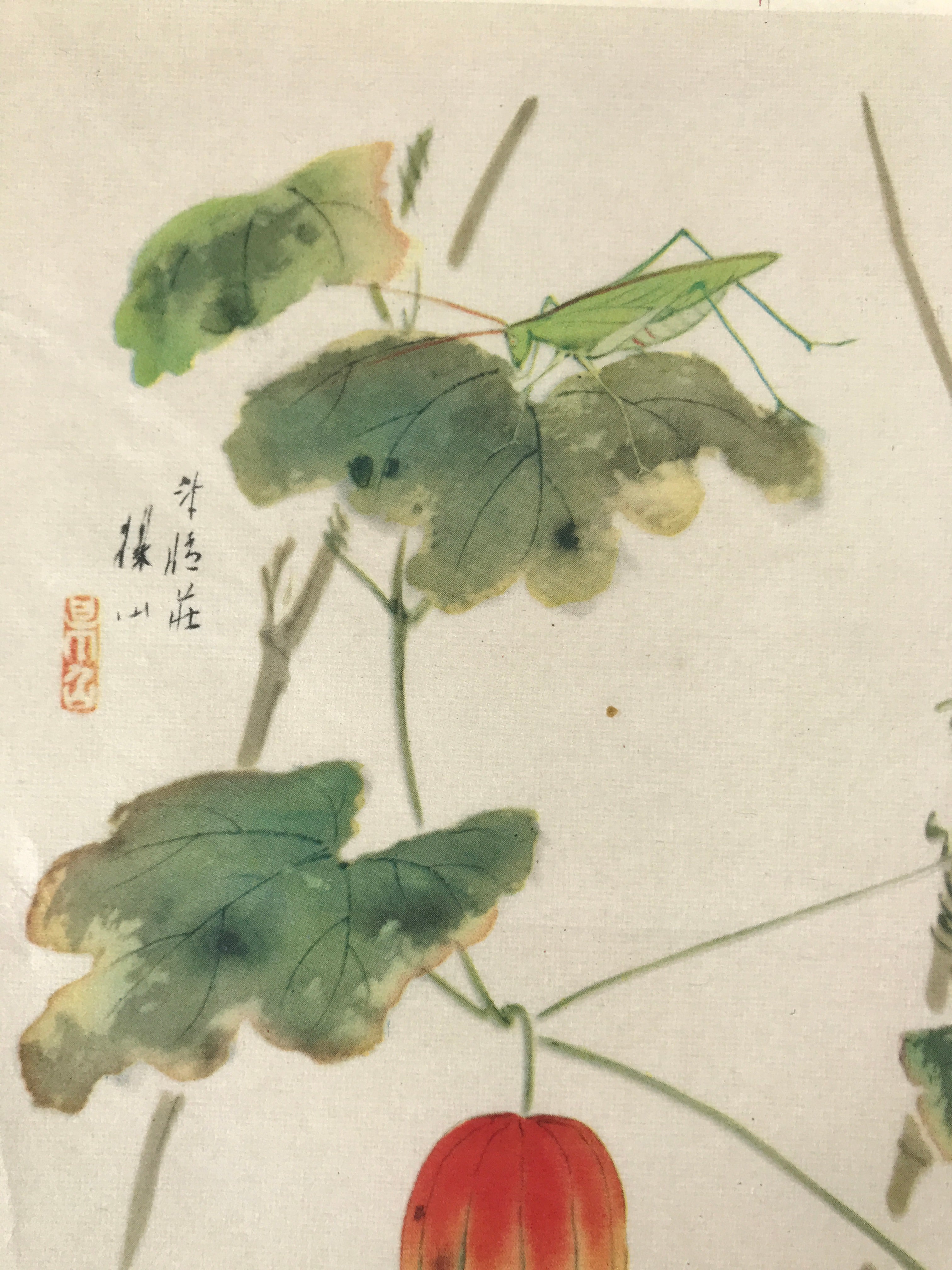 Japanese Art Print Reproduction Vtg Snake Gourd Grasshopper Painting P366