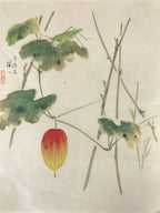 Japanese Art Print Reproduction Vtg Snake Gourd Grasshopper Painting P366