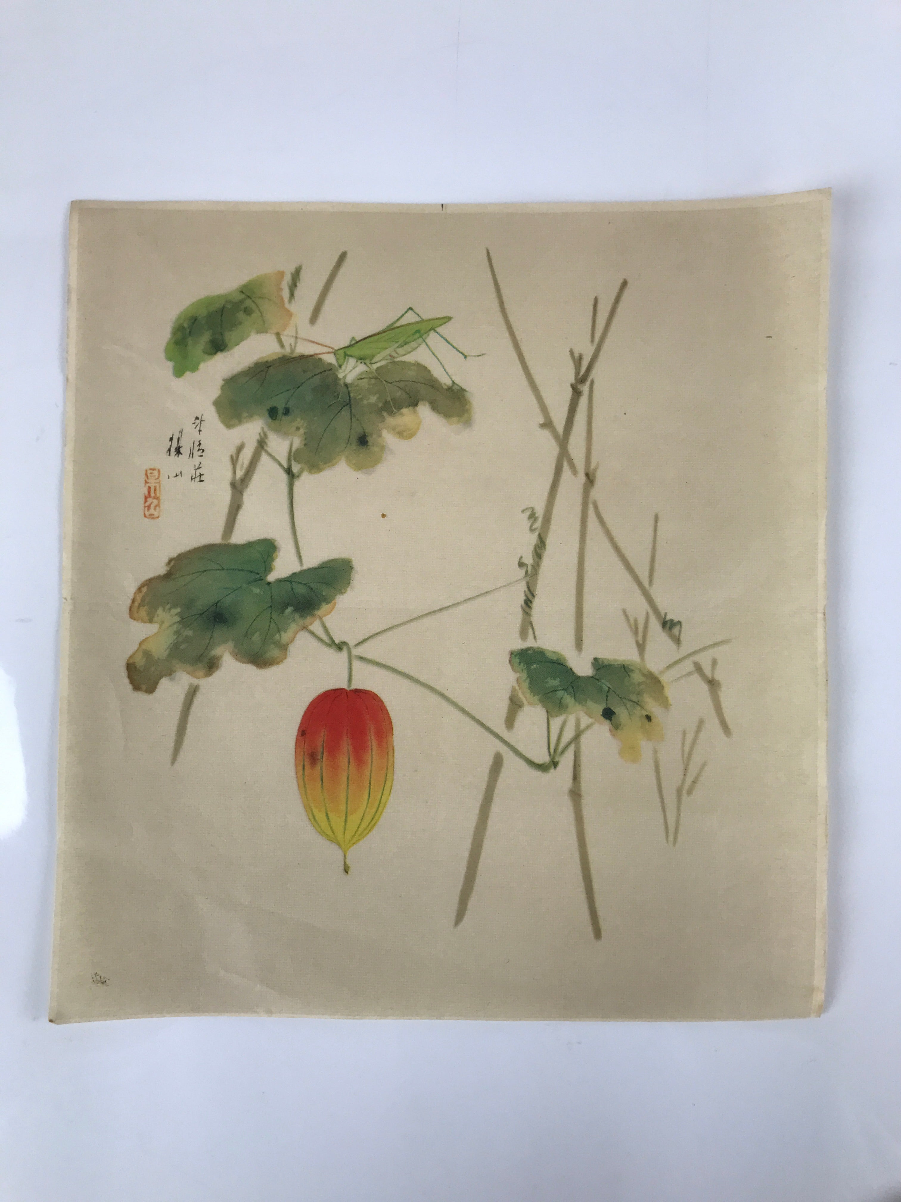 Japanese Art Print Reproduction Vtg Snake Gourd Grasshopper Painting P366
