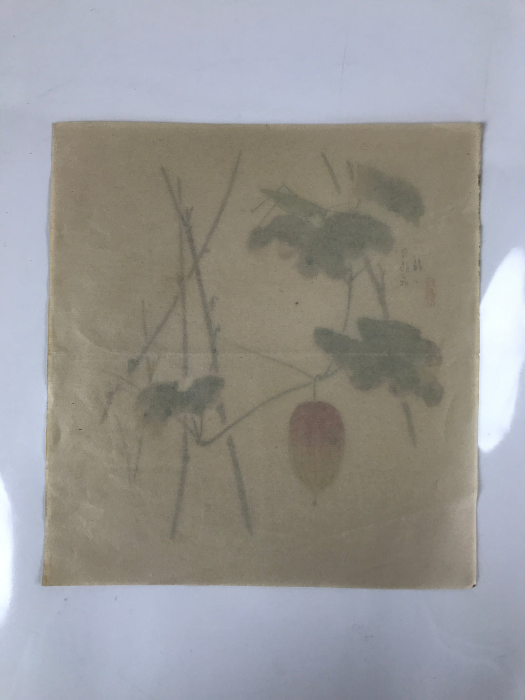 Japanese Art Print Reproduction Vtg Snake Gourd Grasshopper Painting P366