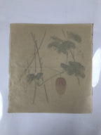 Japanese Art Print Reproduction Vtg Snake Gourd Grasshopper Painting P366