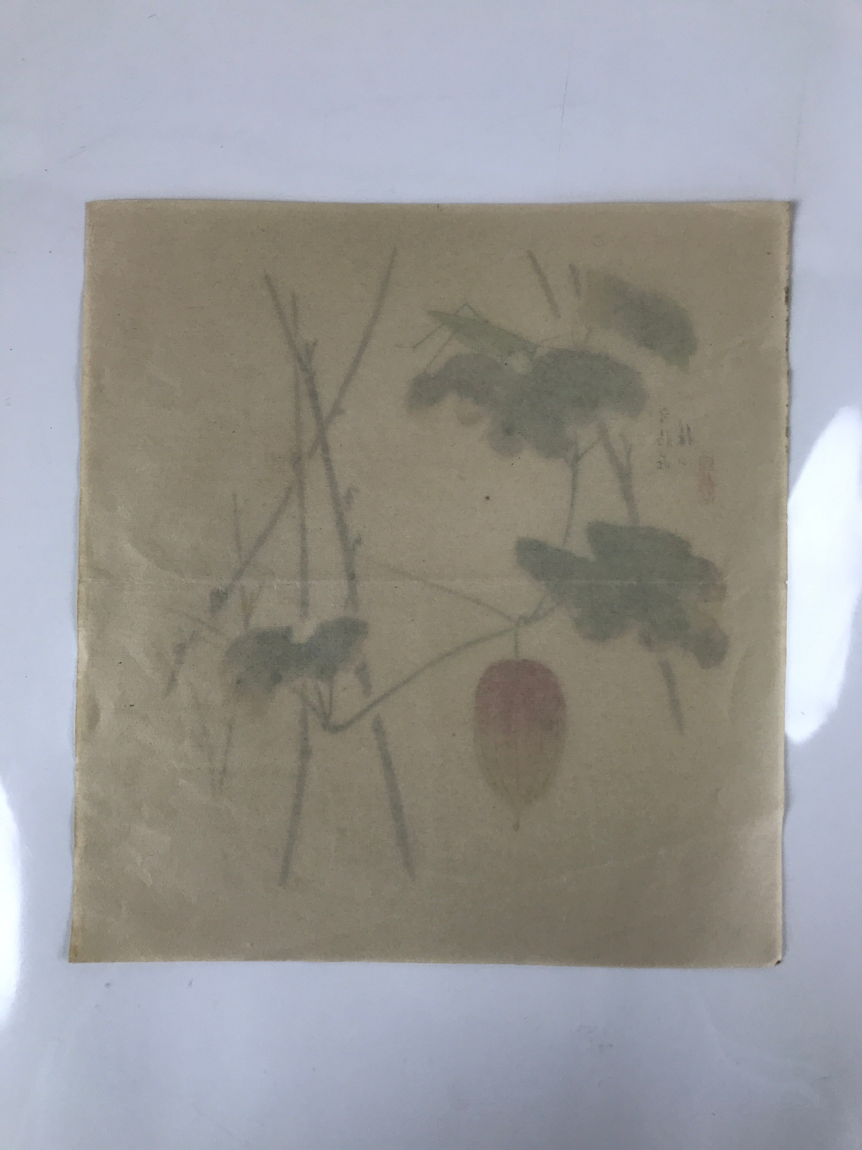 Japanese Art Print Reproduction Vtg Snake Gourd Grasshopper Painting P366