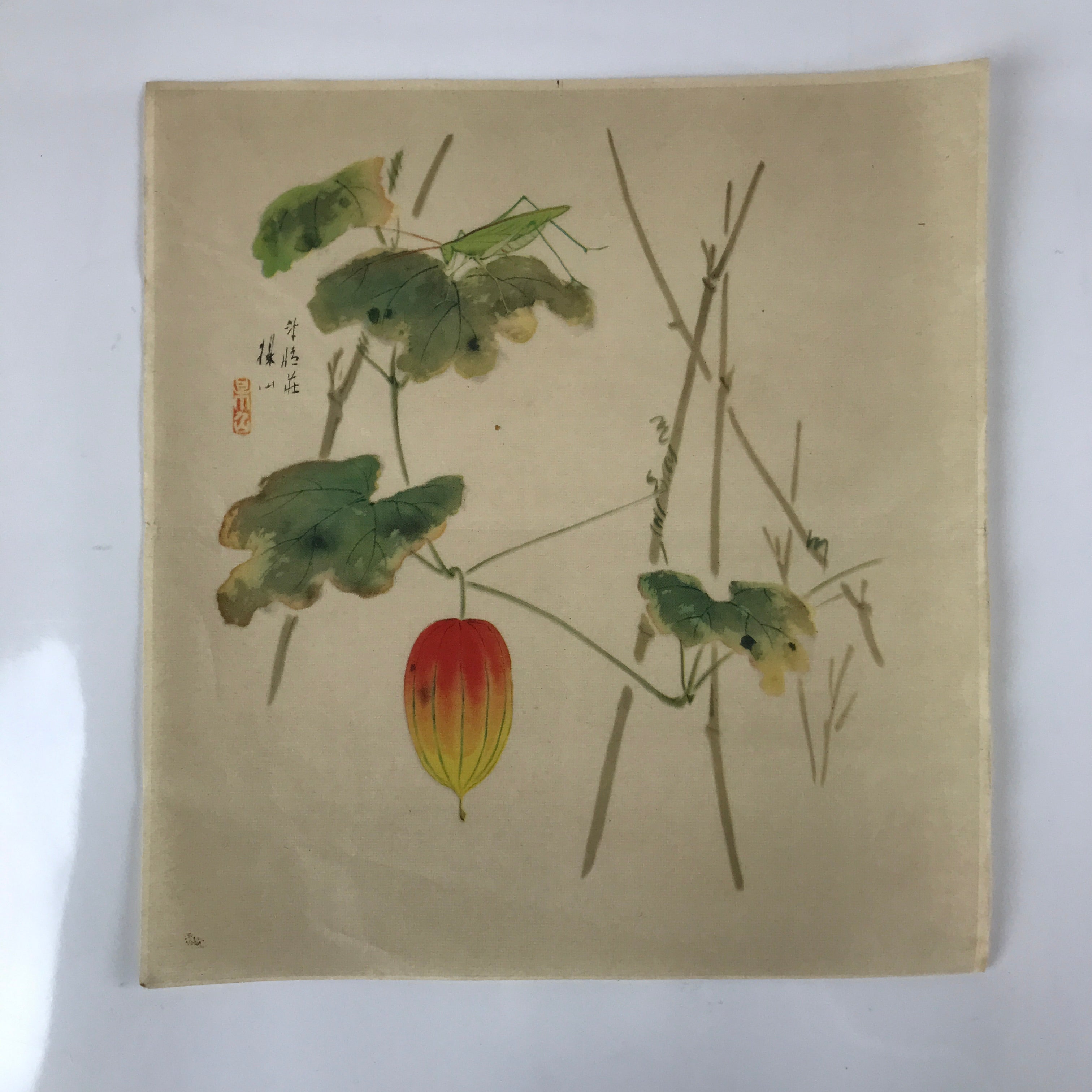 Japanese Art Print Reproduction Vtg Snake Gourd Grasshopper Painting P366