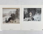 Japanese Art Reproduction Collection Vtg Kawai Gyokudo Nihonga HN25