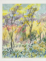 Japanese Autumn Forest Scenery Pastel Drawing Art Signed Yoshihiro Hagino FL340