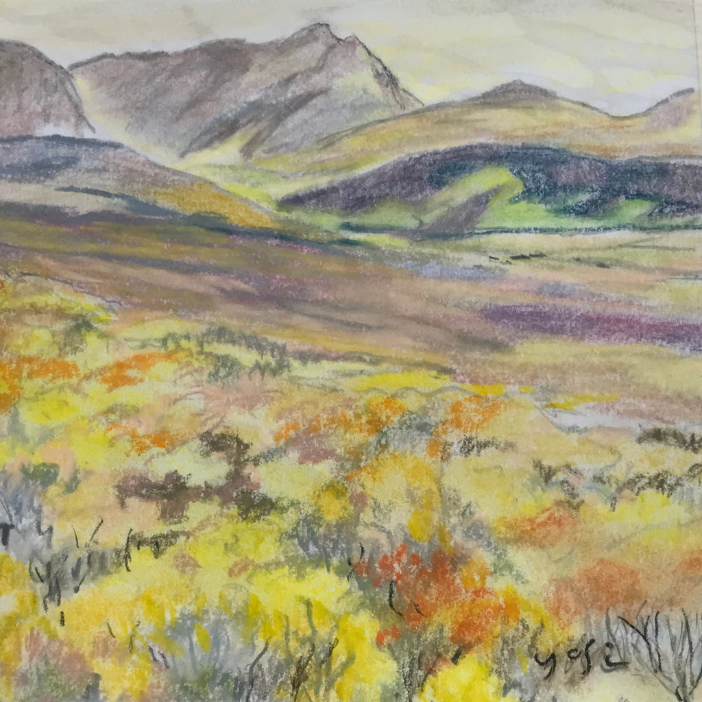 Japanese Autumn Mountain Valley Pastel Drawing Art Signed Yoshihiro Hagino FL331