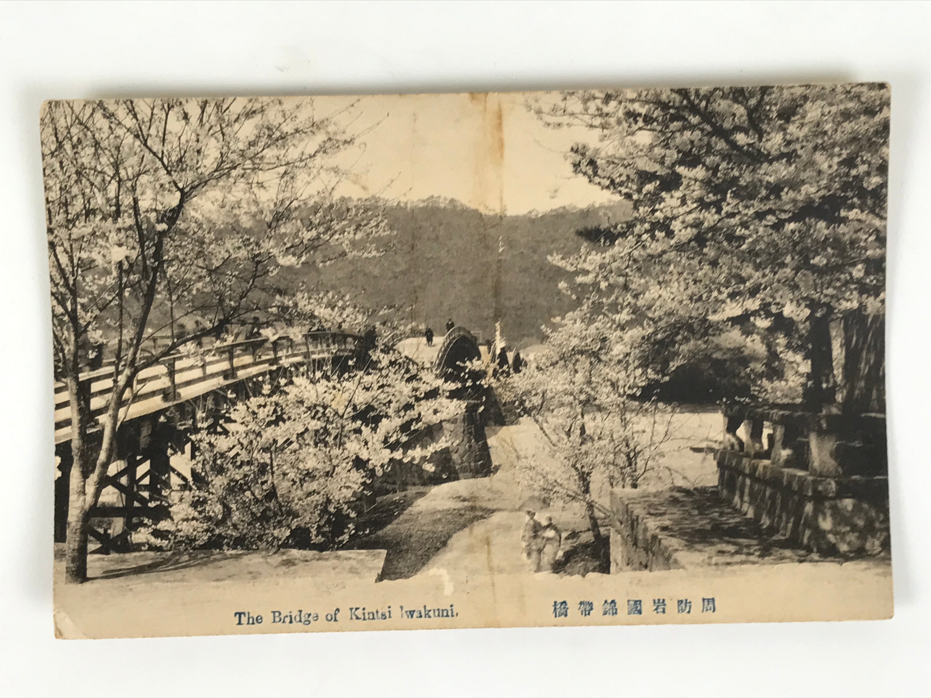Japanese BW Postcard Iwakuni Kintai Bridge C1920 Showa Photography PC166
