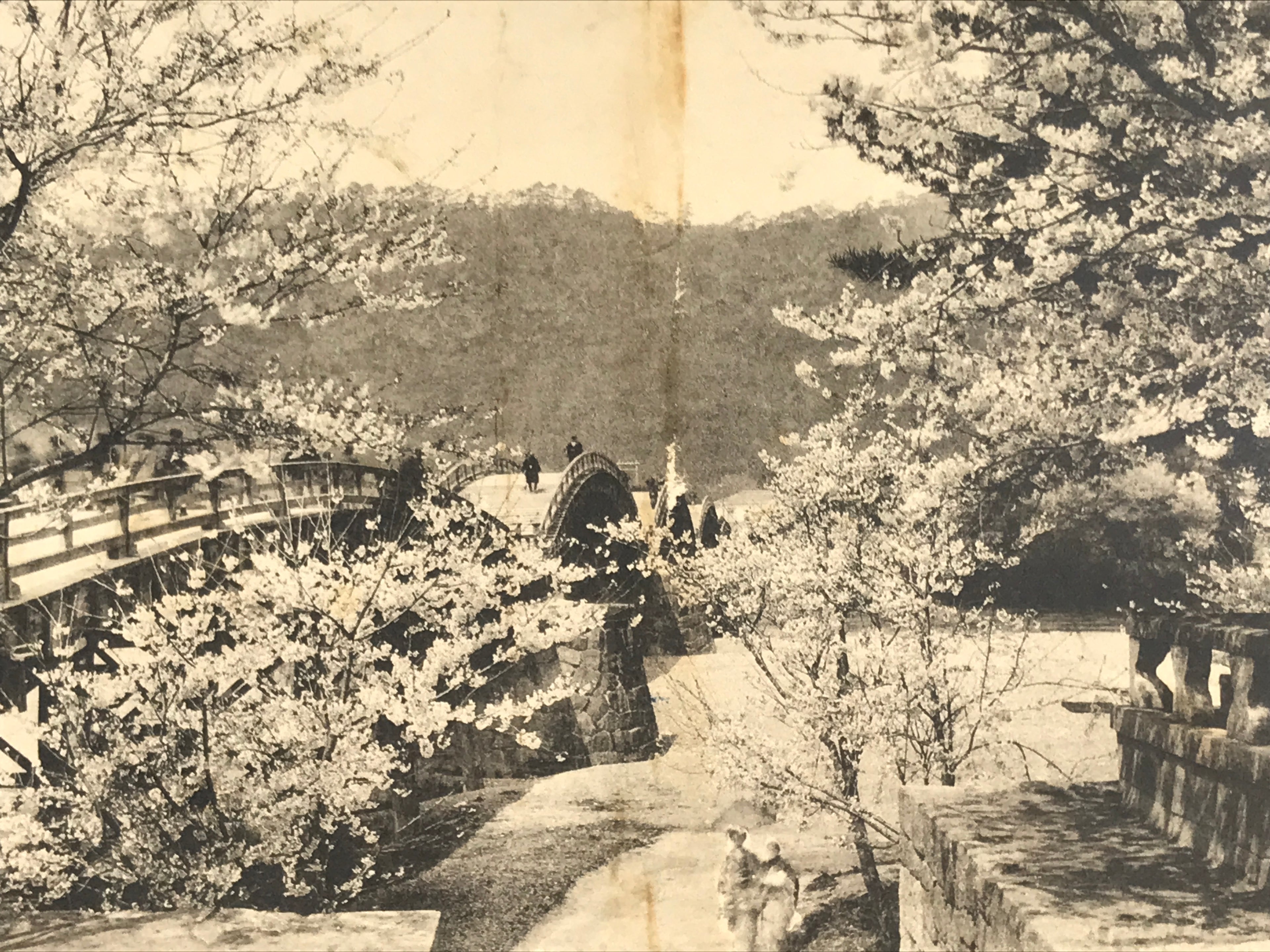 Japanese BW Postcard Iwakuni Kintai Bridge C1920 Showa Photography PC166