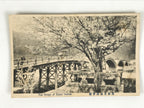 Japanese BW Postcard Iwakuni Kintai Bridge C1920 Showa Photography PC167