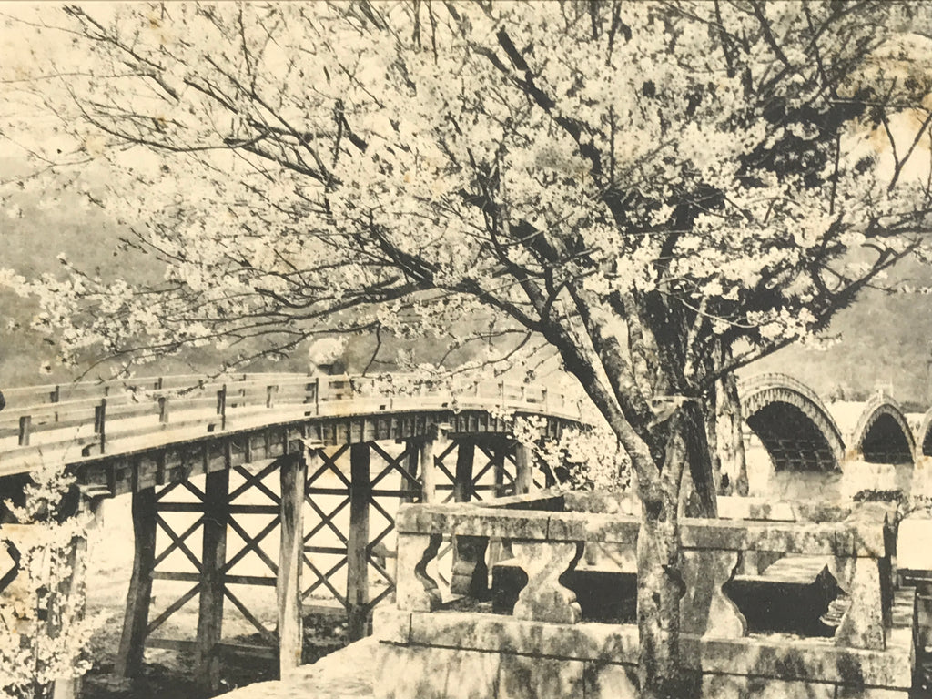 Japanese BW Postcard Iwakuni Kintai Bridge C1920 Showa Photography PC167
