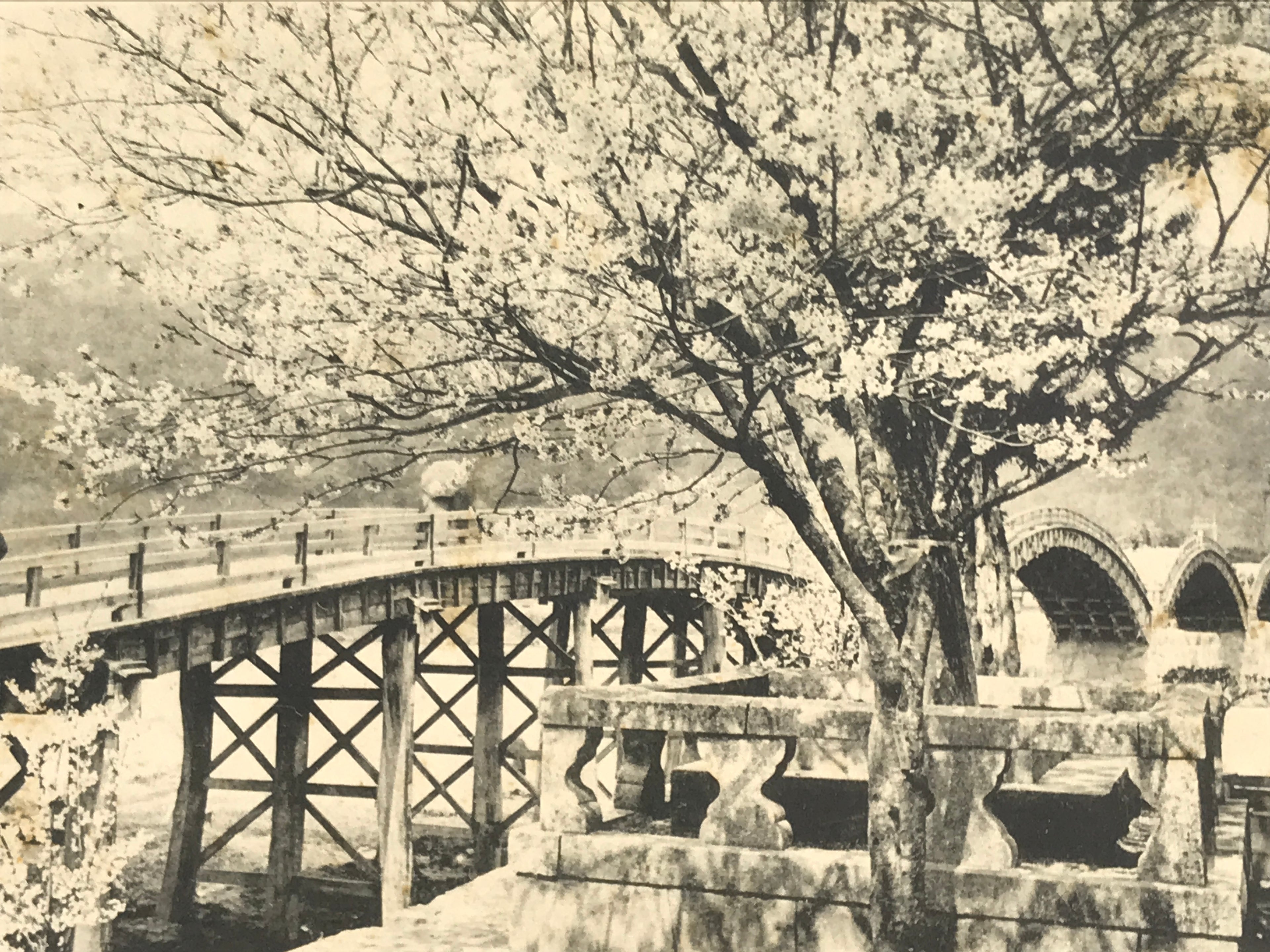 Japanese BW Postcard Iwakuni Kintai Bridge C1920 Showa Photography PC167