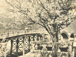 Japanese BW Postcard Iwakuni Kintai Bridge C1920 Showa Photography PC167