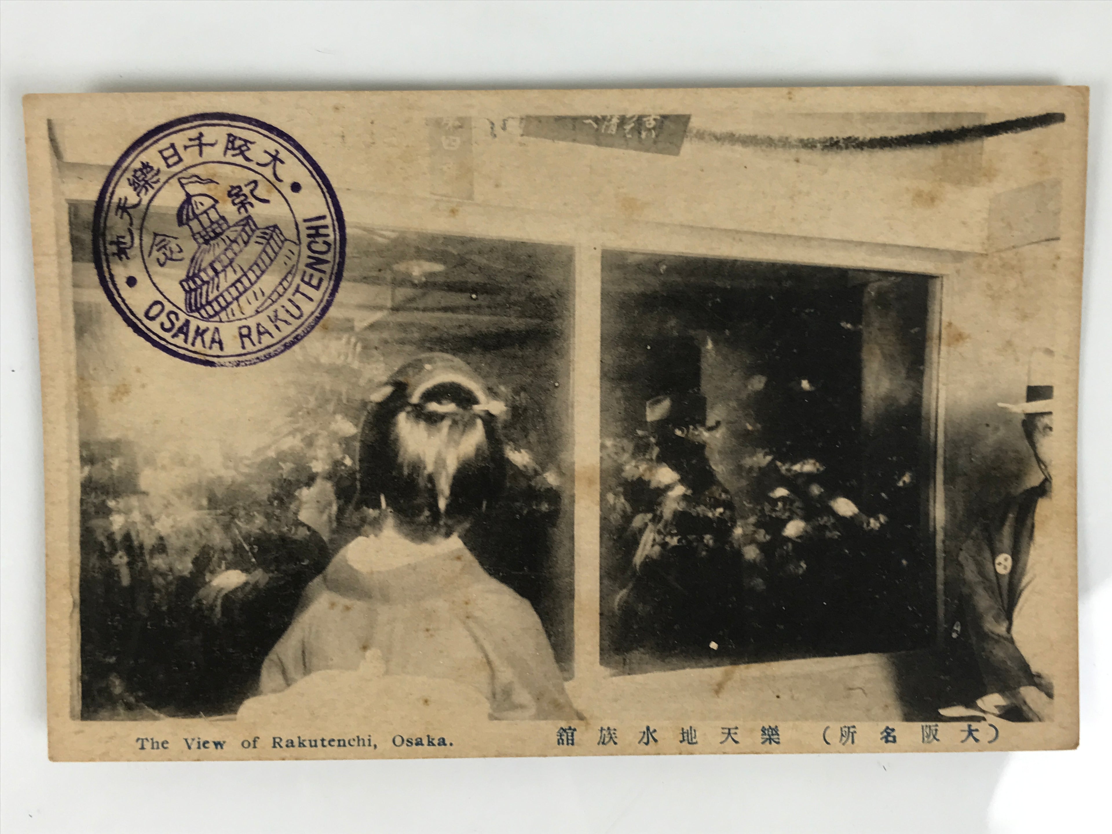Japanese BW Postcard Osaka Rakutenchi Aquarium C1920 Taisho Photography PC197