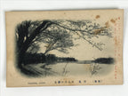 Japanese BW Postcard Owari Tsushima Cherry Blossom C1920 Showa Photography PC177