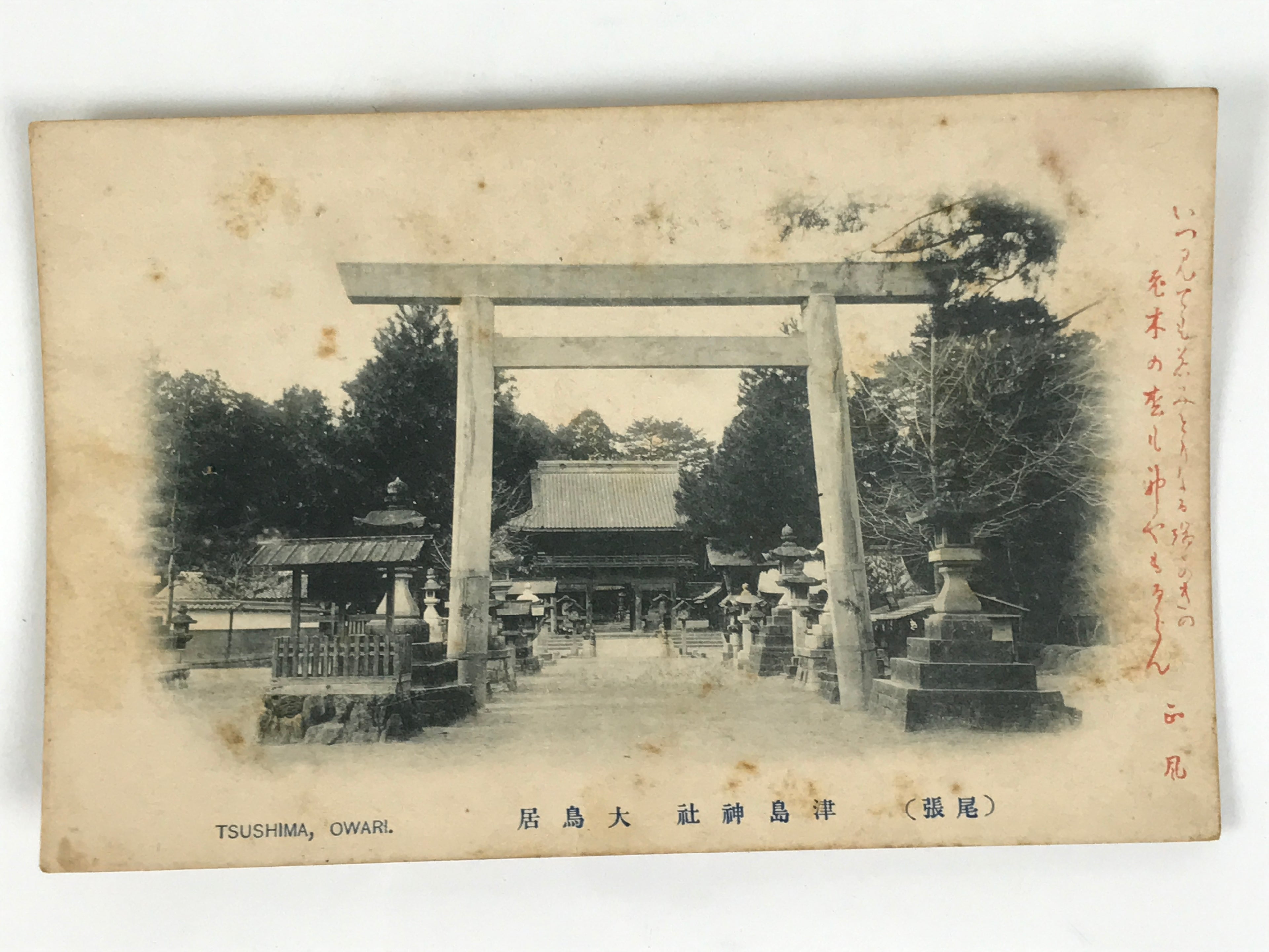 Japanese BW Postcard Owari Tsushima Shrine Torii C1920 Showa Photography PC174