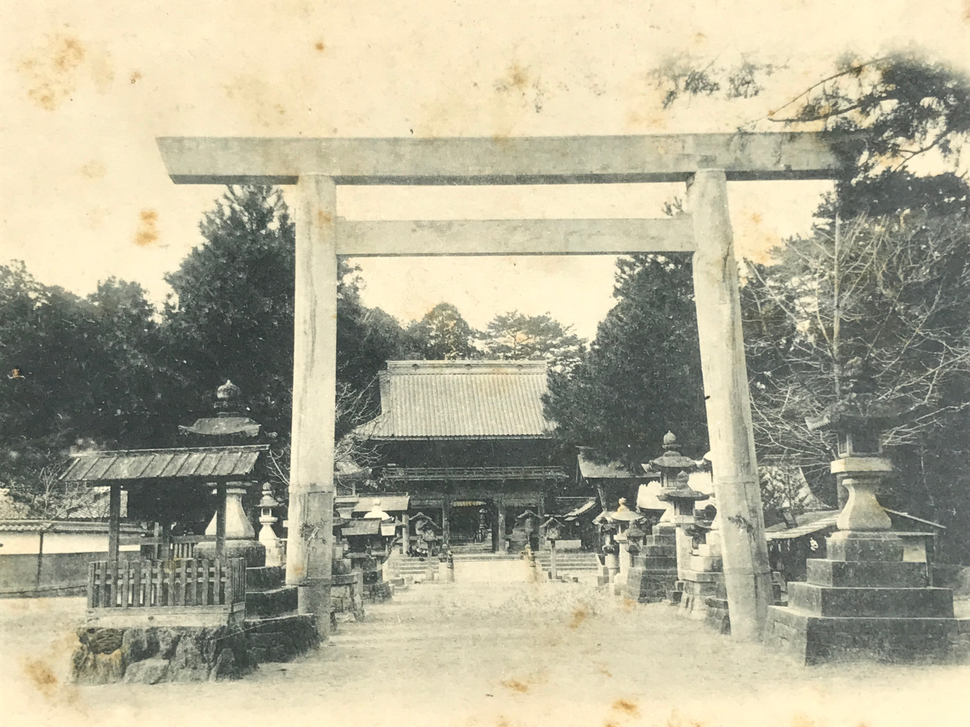 Japanese BW Postcard Owari Tsushima Shrine Torii C1920 Showa Photography PC174
