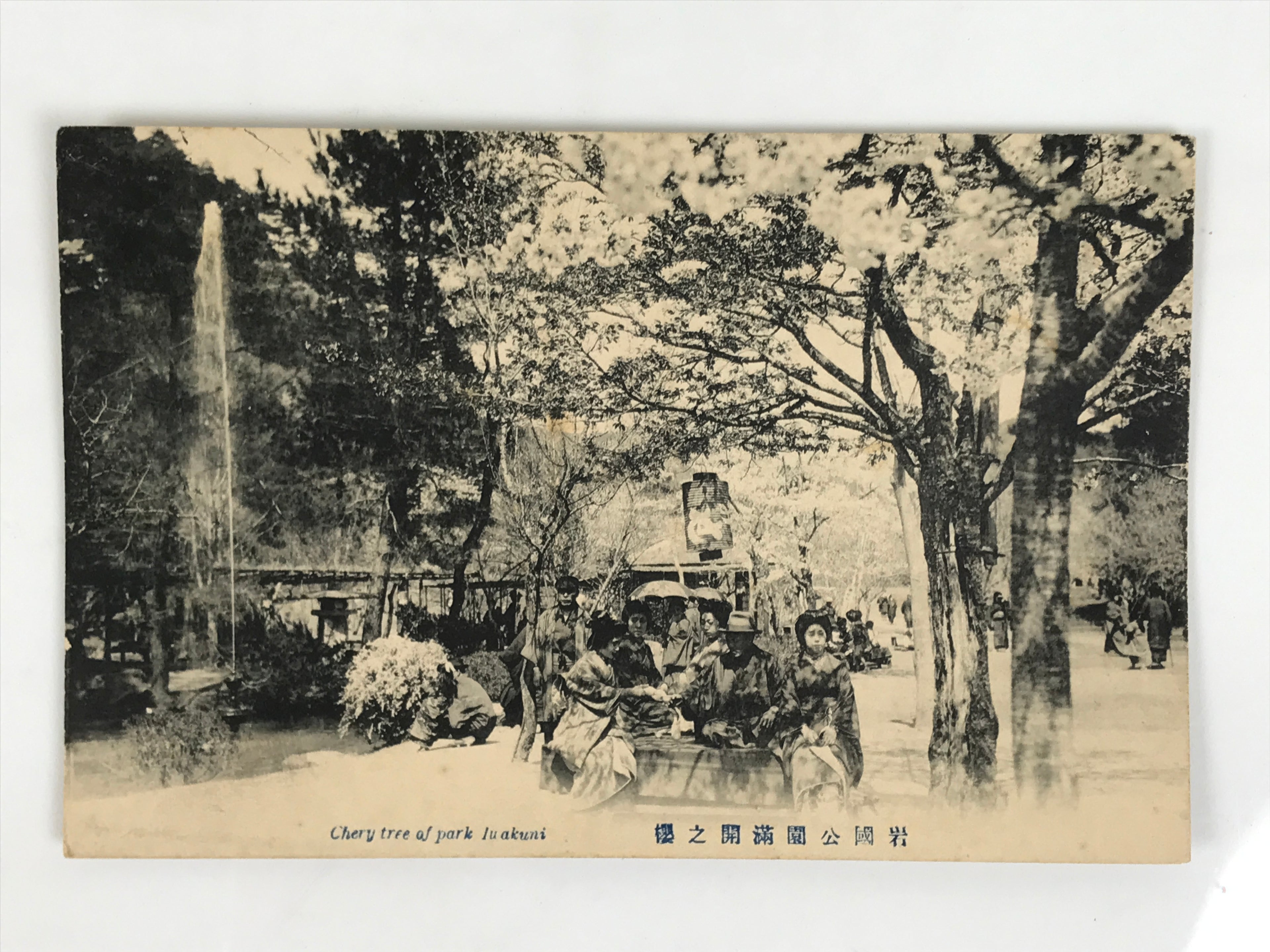 Japanese BW Postcard Tokyo Ohanami Cherry Blossom C1920 Taisho Photography PC202