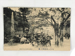 Japanese BW Postcard Tokyo Ohanami Cherry Blossom C1920 Taisho Photography PC202