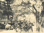 Japanese BW Postcard Tokyo Ohanami Cherry Blossom C1920 Taisho Photography PC202