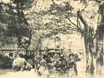 Japanese BW Postcard Tokyo Ohanami Cherry Blossom C1920 Taisho Photography PC202
