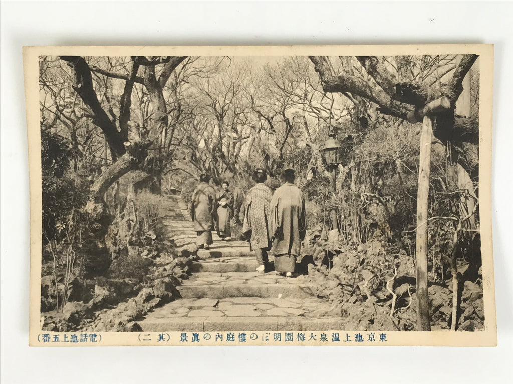 Japanese BW Postcard Tokyo Plum Tree Garden C1920 Taisho Photography PC203