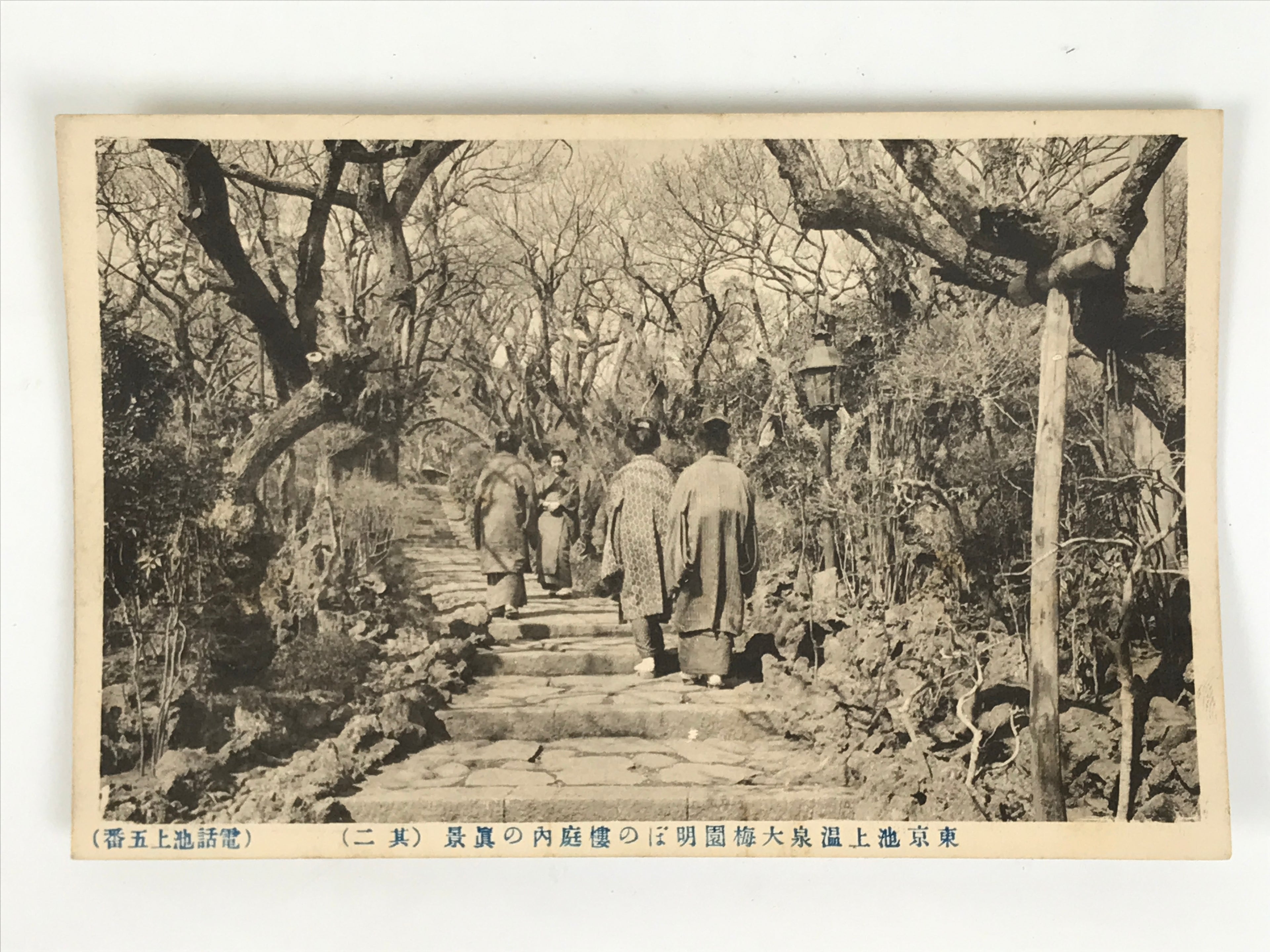 Japanese BW Postcard Tokyo Plum Tree Garden C1920 Taisho Photography PC203
