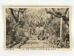 Japanese BW Postcard Tokyo Plum Tree Garden C1920 Taisho Photography PC203