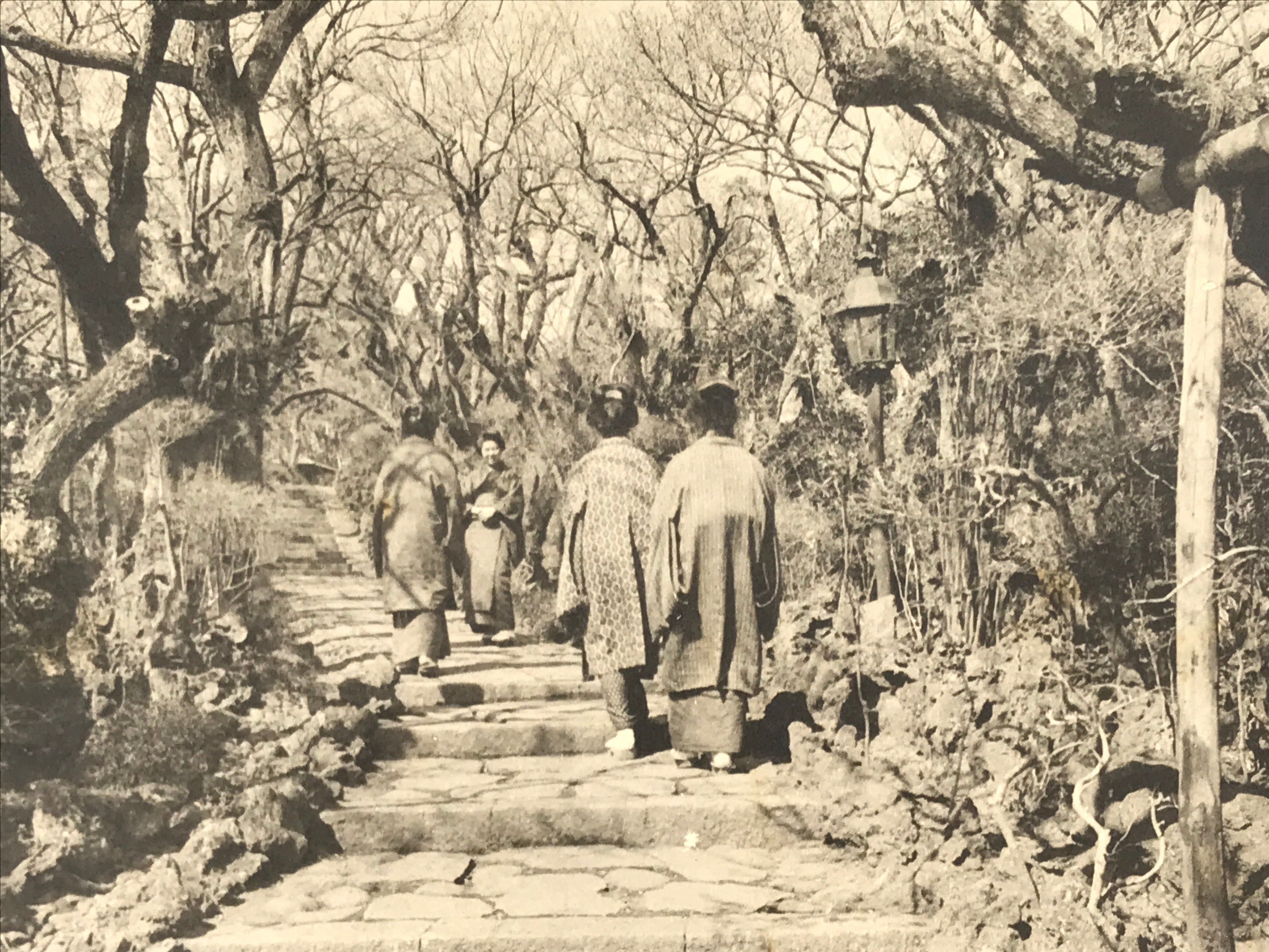ヴィンテージ Jonathan Postal パブミラー 鏡 フォトグラフィ Japanese Photos & Negatives | chidorivintage.com