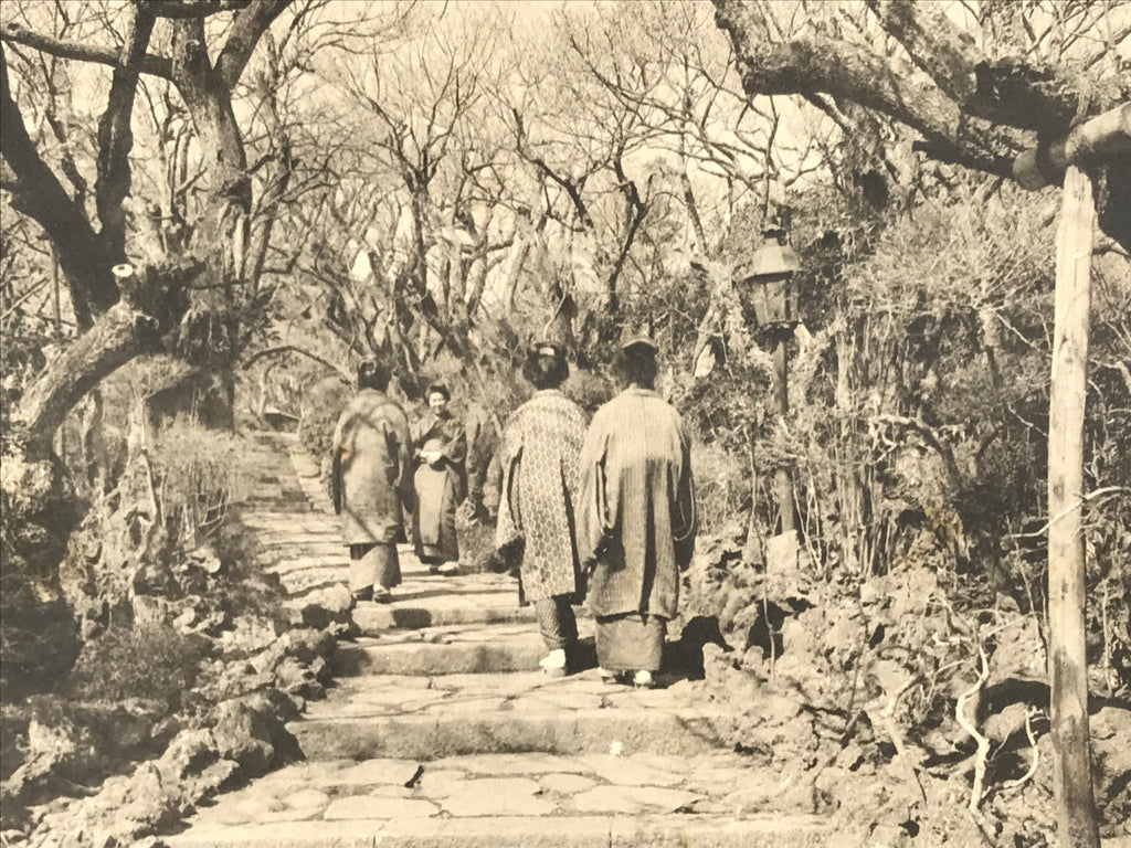 Japanese BW Postcard Tokyo Plum Tree Garden C1920 Taisho Photography PC203