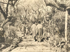 Japanese BW Postcard Tokyo Plum Tree Garden C1920 Taisho Photography PC203