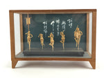 Japanese Bamboo Dolls Figurines Glass Case Vtg Awa Odori Dance Festival BD916
