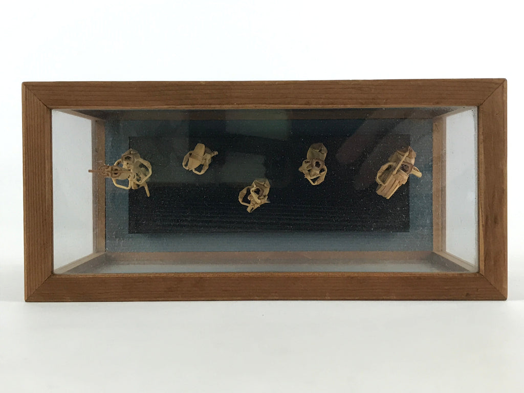 Japanese Bamboo Dolls Figurines Glass Case Vtg Awa Odori Dance Festival BD916
