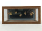 Japanese Bamboo Dolls Figurines Glass Case Vtg Awa Odori Dance Festival BD916