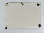 Japanese Bereaved Families Association Group Photograph Vtg Zenkoji Temple PH75