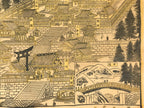 Japanese Bird's-Eye View Map Woodblock Print Nikko-san Shrine Temple 3D FL362
