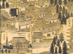 Japanese Bird's-Eye View Map Woodblock Print Nikko-san Shrine Temple 3D FL362