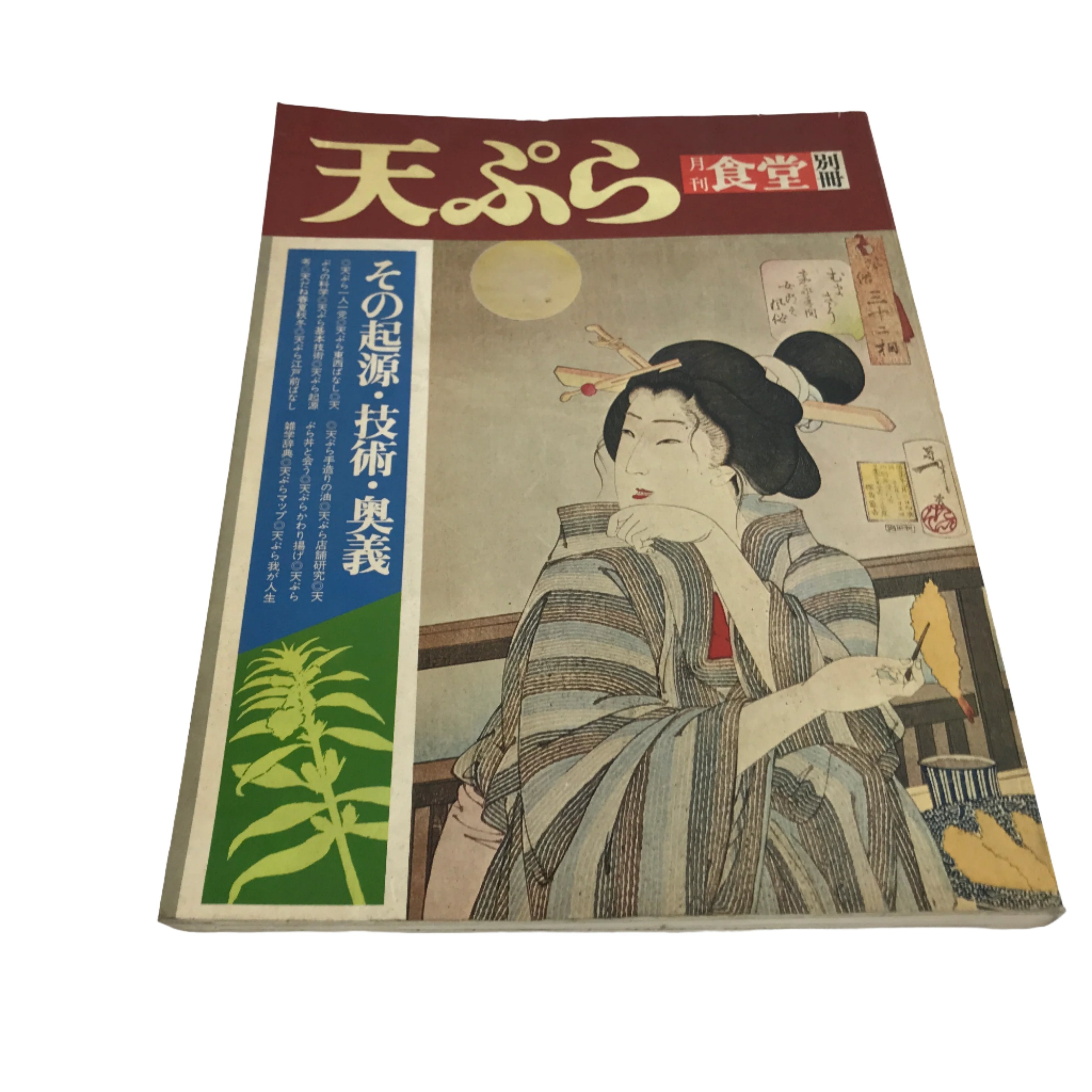 Japanese Book About Tempura Traditional Dish 1976 Vtg Mook Softcover HN13